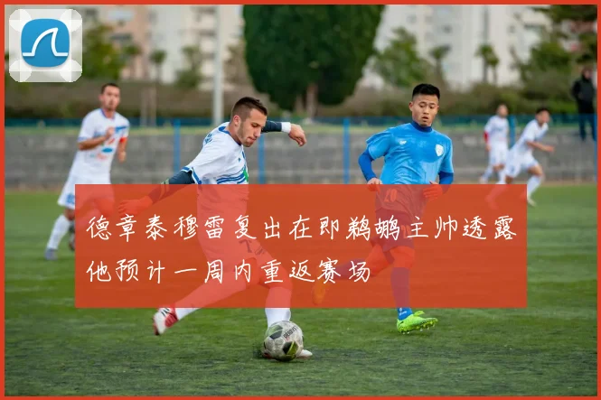 德章泰穆雷复出在即鹈鹕主帅透露他预计一周内重返赛场