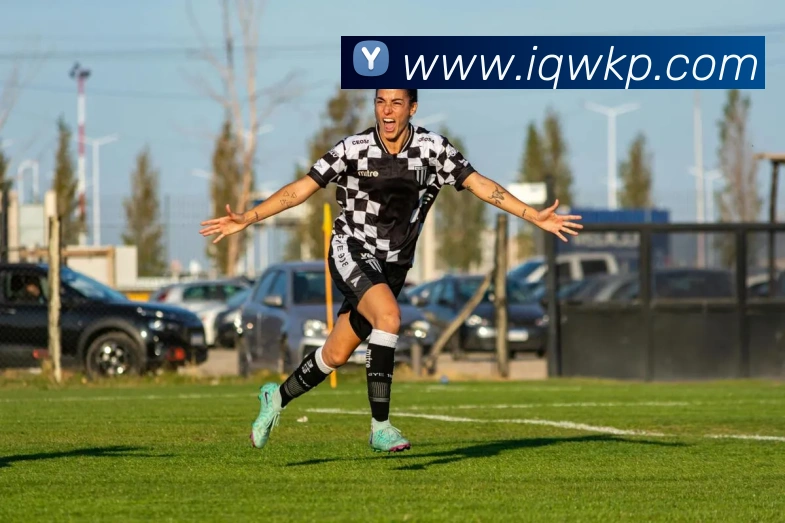 买球赛平台生态图