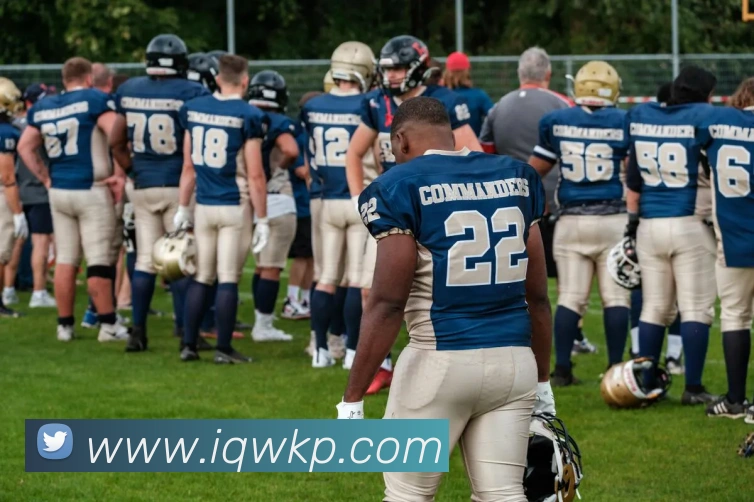 买球赛APP 封面图