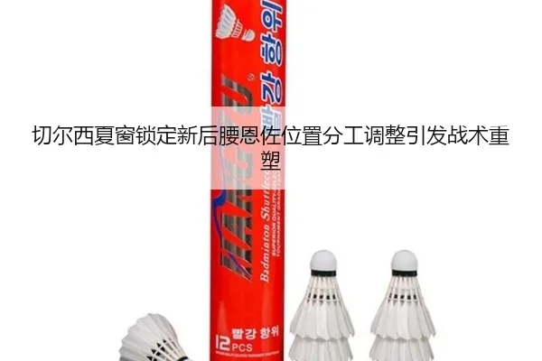 切尔西夏窗锁定新后腰恩佐位置分工调整引发战术重塑